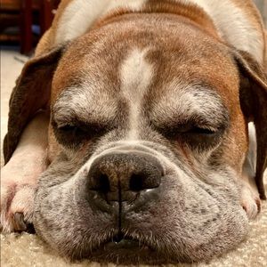 Meet your Posher, Brenda